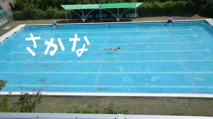 さかな