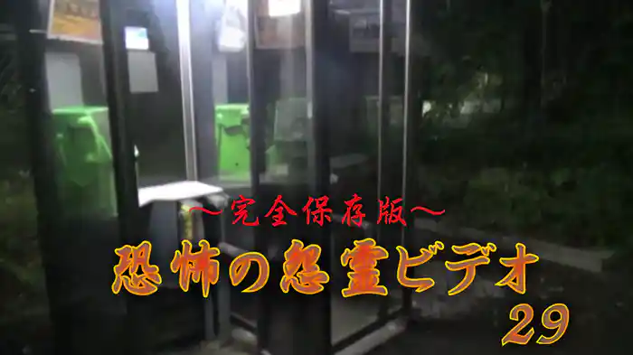～完全保存版～恐怖の怨霊ビデオ29