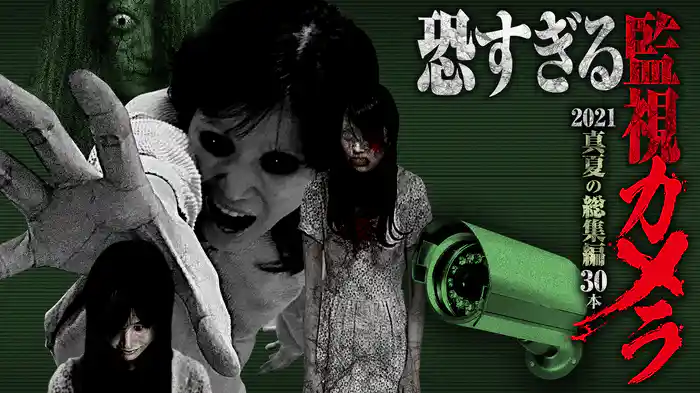 恐すぎる監視カメラ 2021 真夏の総集編30本