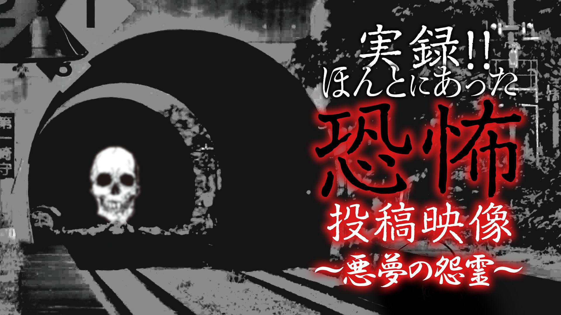 実録!!ほんとにあった恐怖の投稿映像〜悪夢の怨霊〜