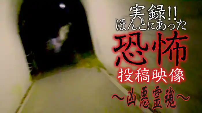 実録!!ほんとにあった恐怖の投稿映像～凶悪霊魂～