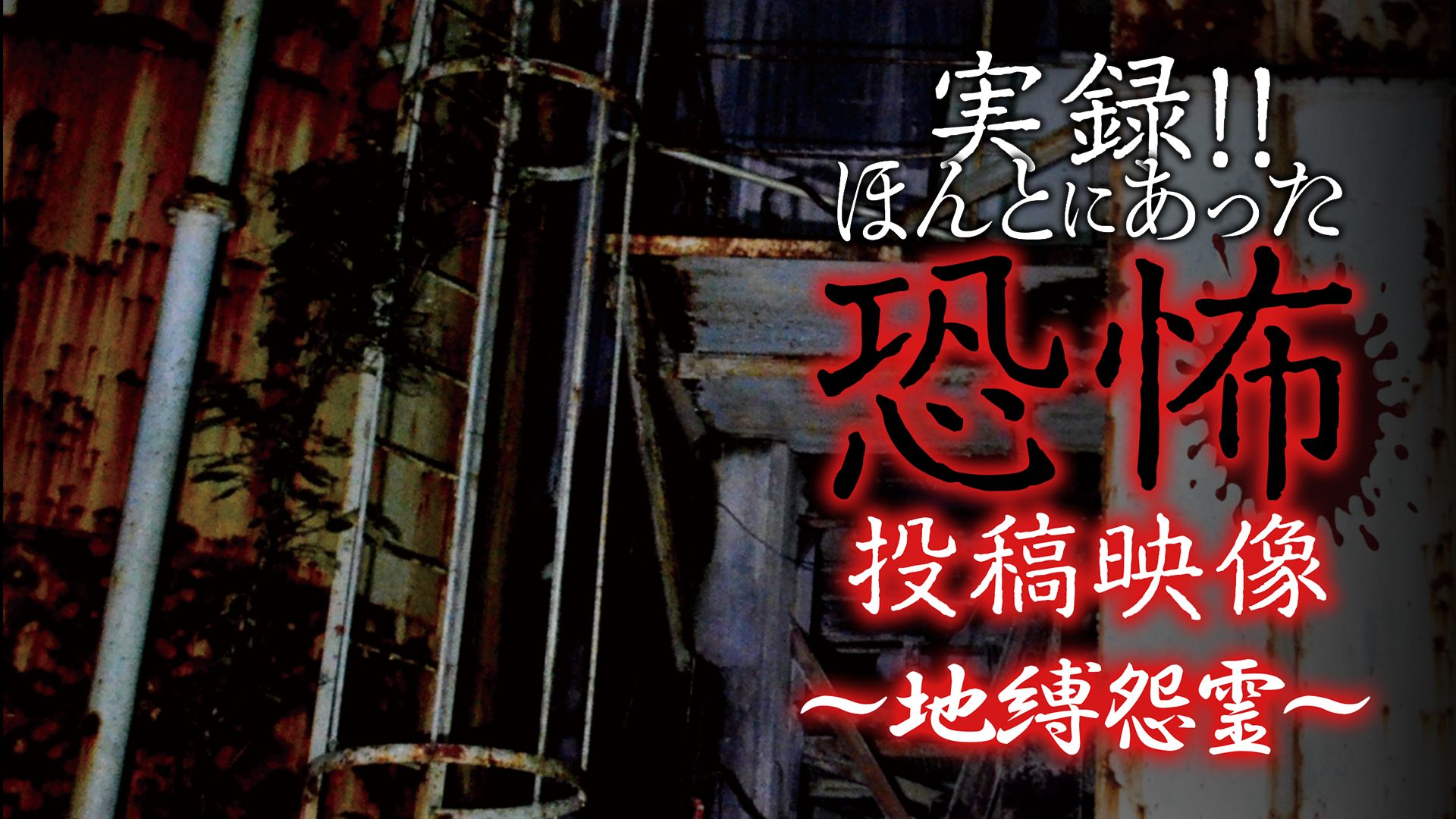実録!!ほんとにあった恐怖の投稿映像〜地縛怨霊〜