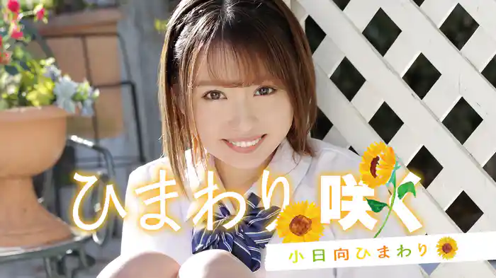 小日向ひまわり『ひまわり咲く』