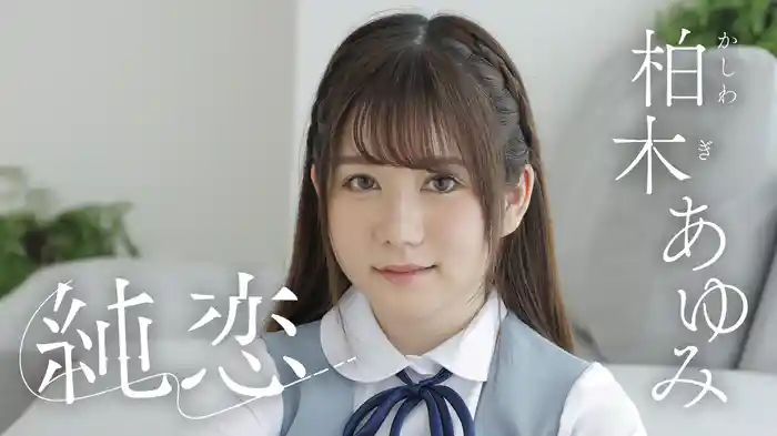 柏木あゆみ『純恋』