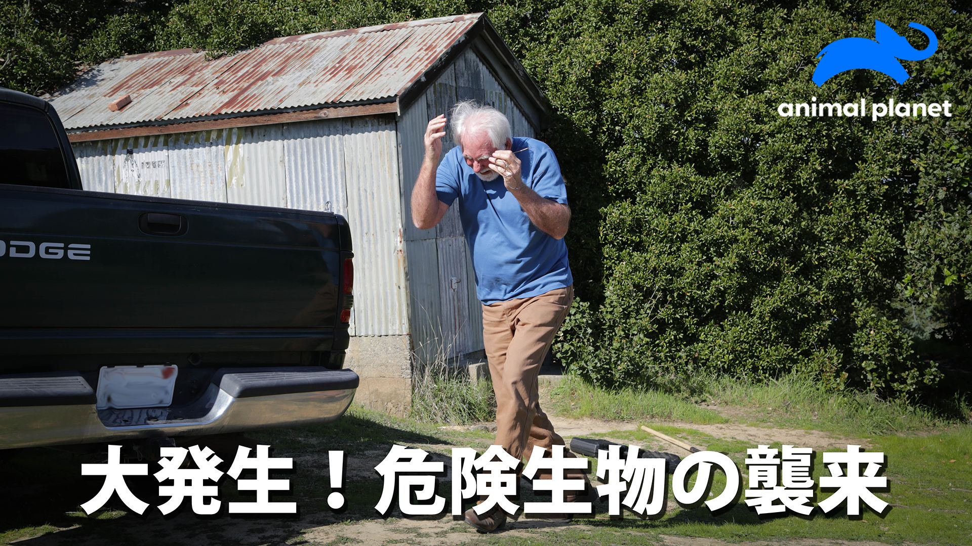 大発生！危険生物の襲来