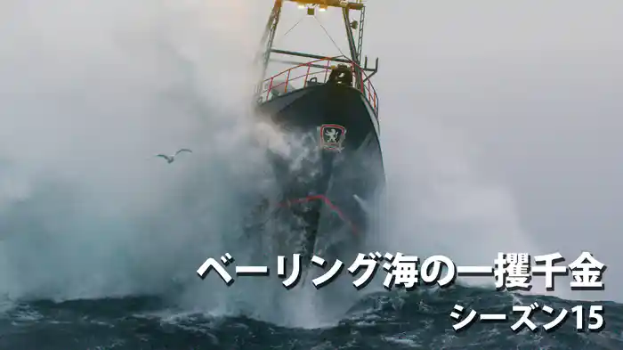 ベーリング海の一攫千金 シーズン15