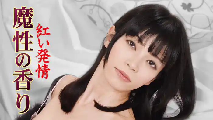 紅い発情　魔性の香り