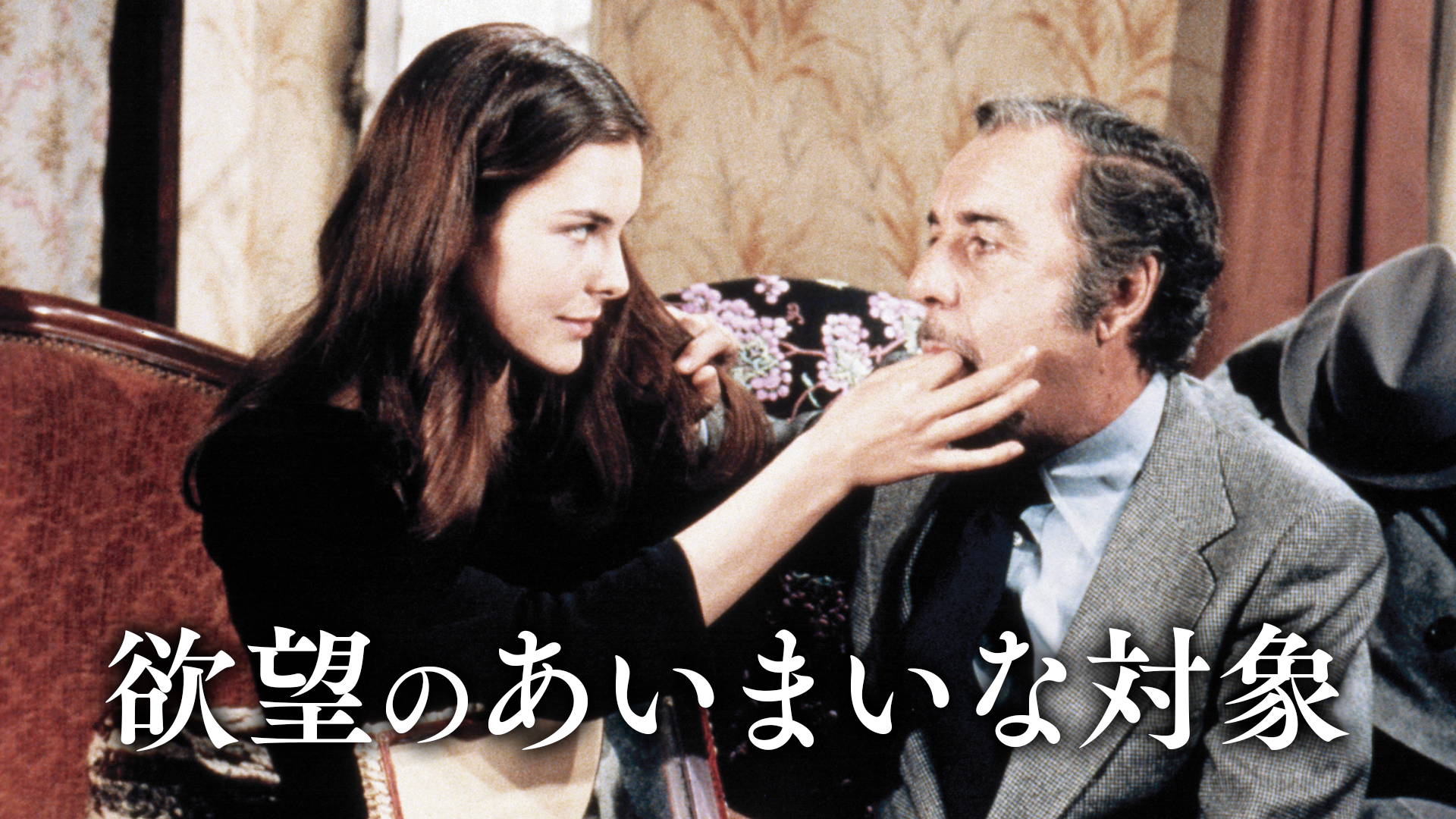 欲望のあいまいな対象 - サムネイル