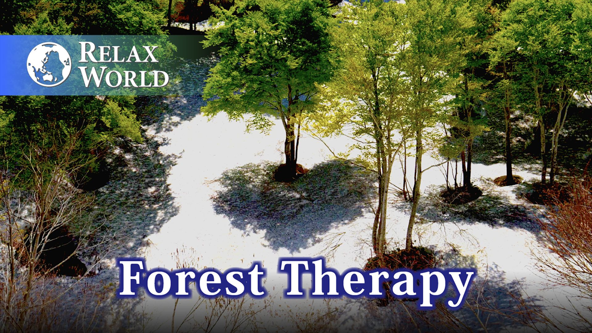 Forest Therapy【RELAX WORLD】