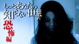 もっとあなたの知らない世界～恐怖編～(TV番組・エンタメ / 2011