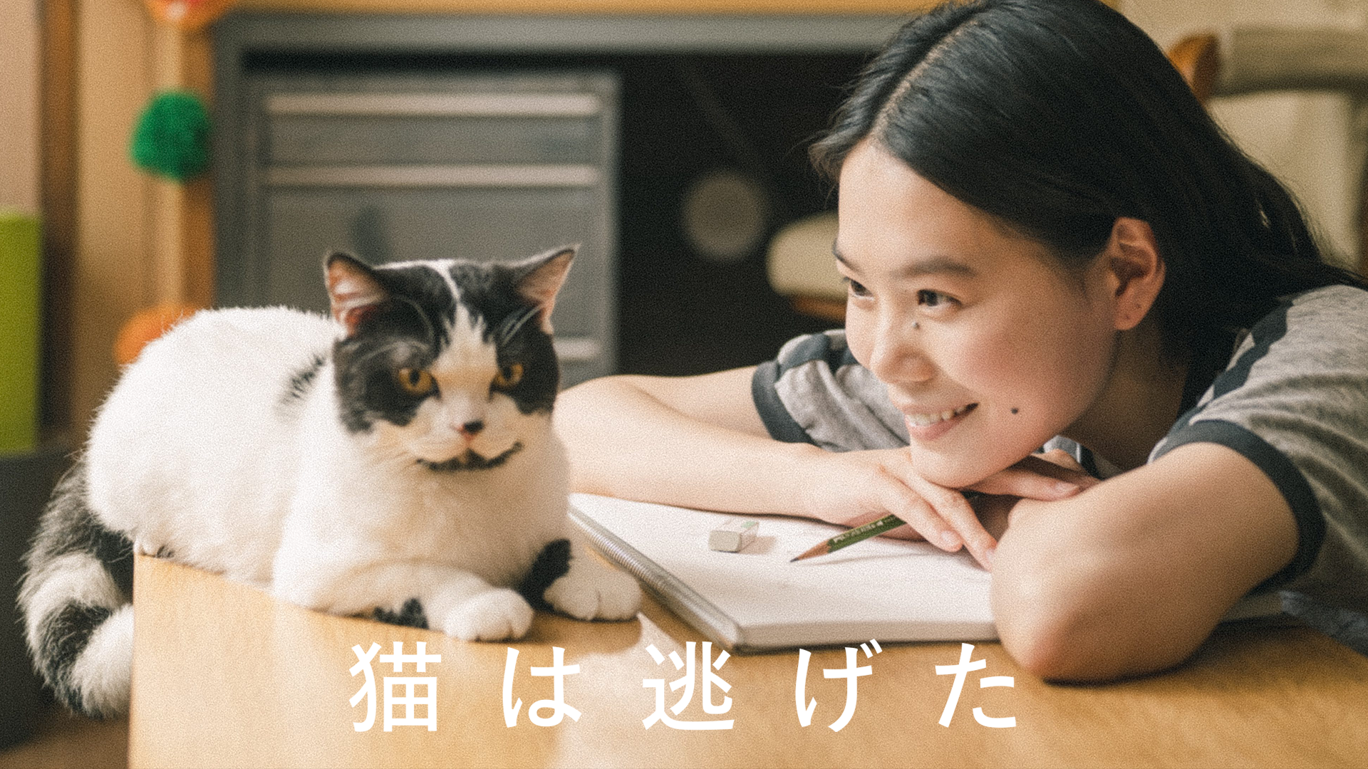 猫は逃げた(邦画 / 2021) - 動画配信 | U-NEXT 31日間無料トライアル