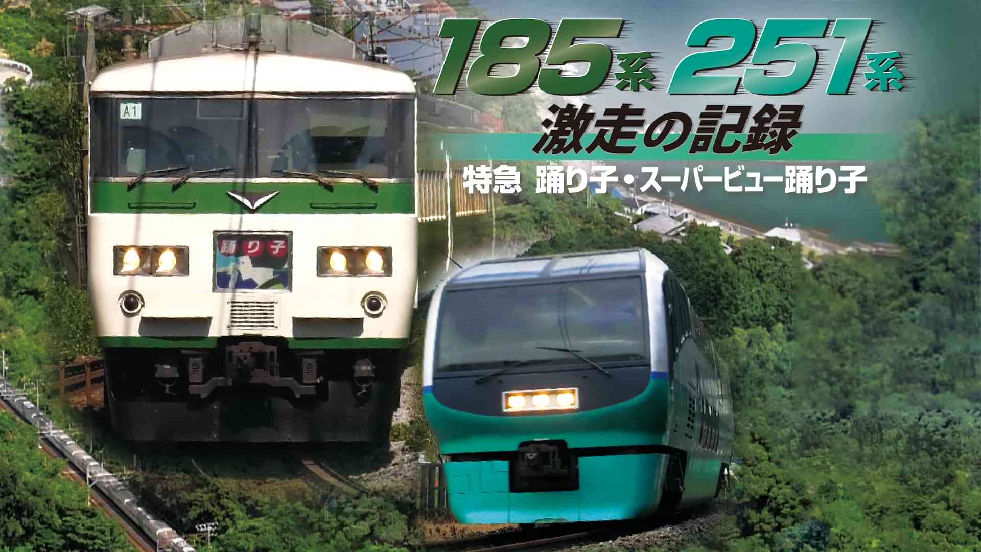 185系・251系 激走の記録～特急踊り子・スーパービュー踊り子～