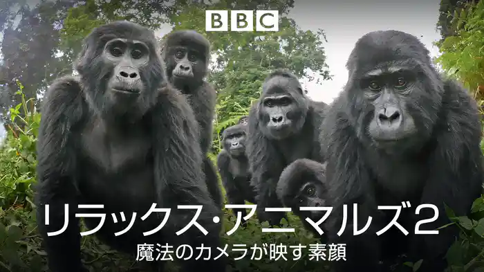 リラックス・アニマルズ２～魔法のカメラが映す素顔～