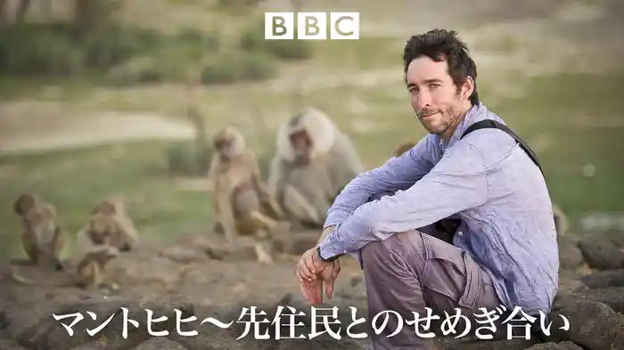 マントヒヒ～先住民とのせめぎ合い
