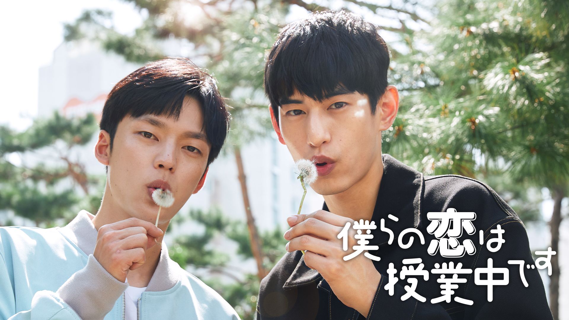 僕らの恋は授業中です