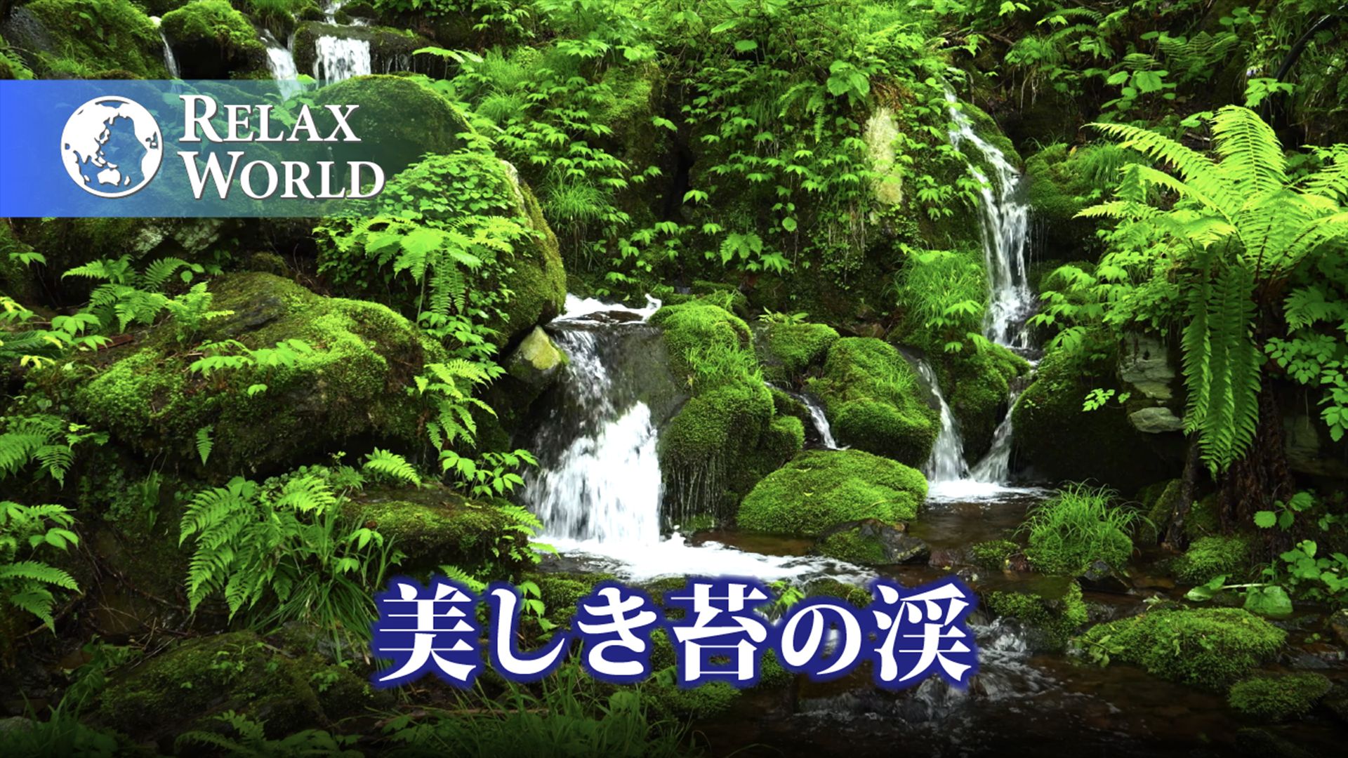 美しき苔の渓【RELAX WORLD】