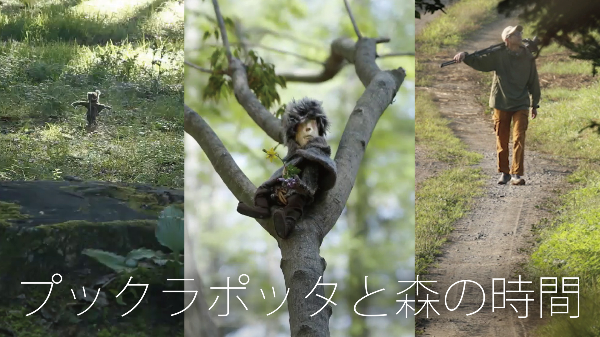 プックラポッタと森の時間 - サムネイル