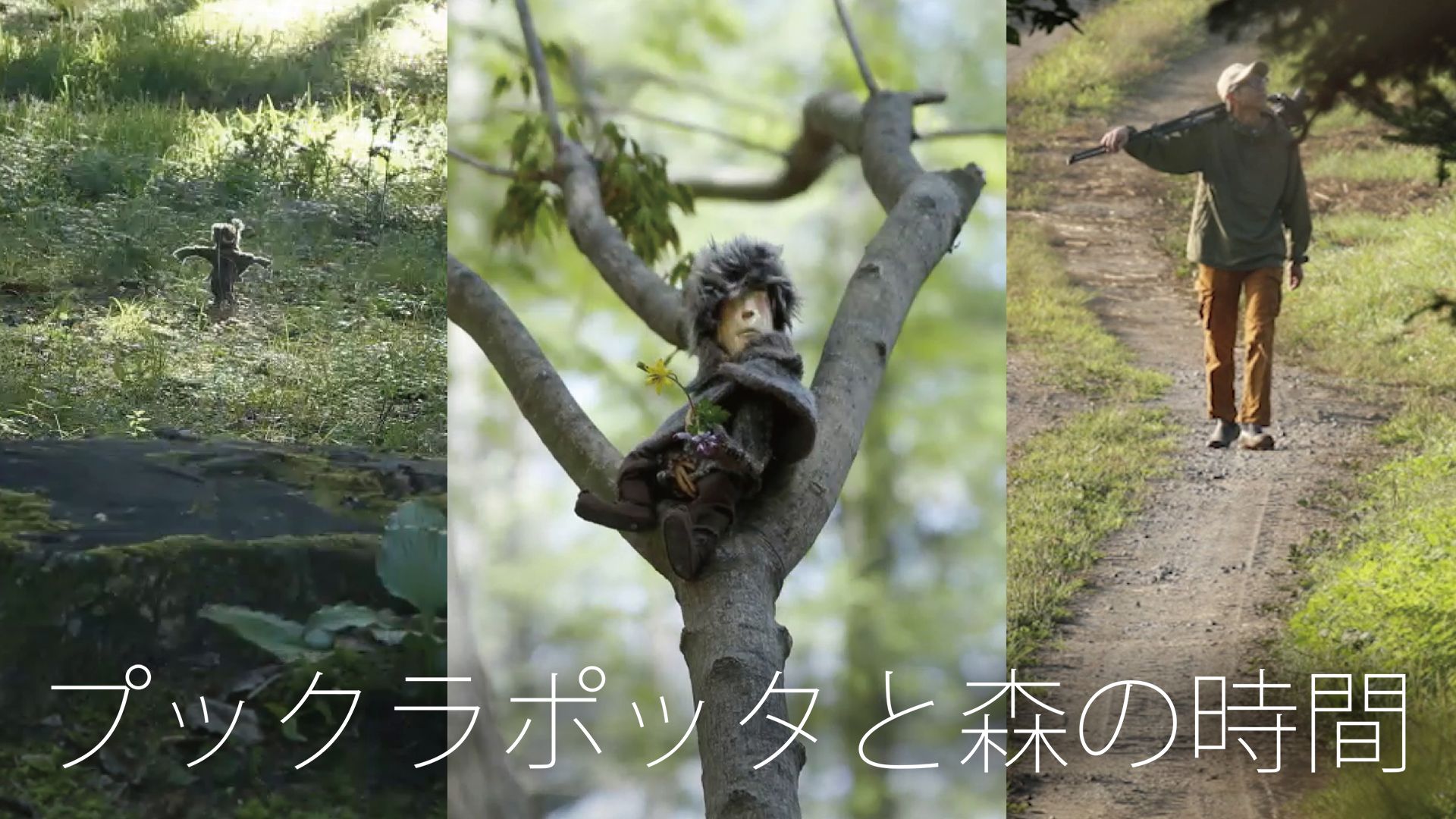 プックラポッタと森の時間