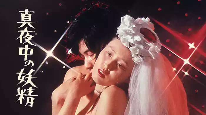 真夜中の妖精