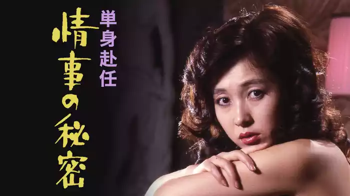 単身赴任　情事の秘密