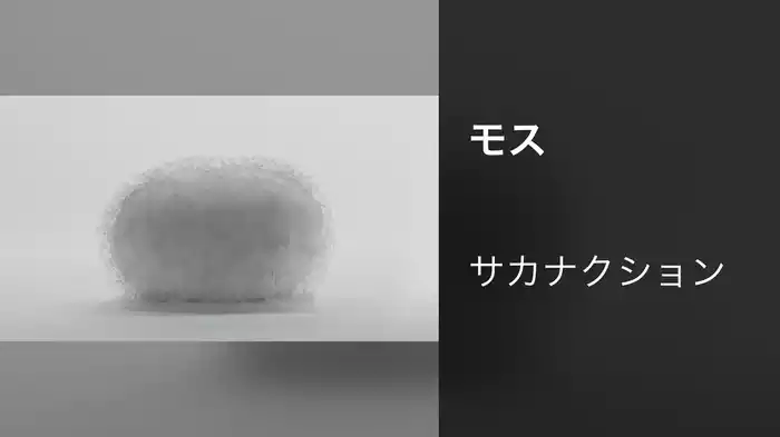 モス