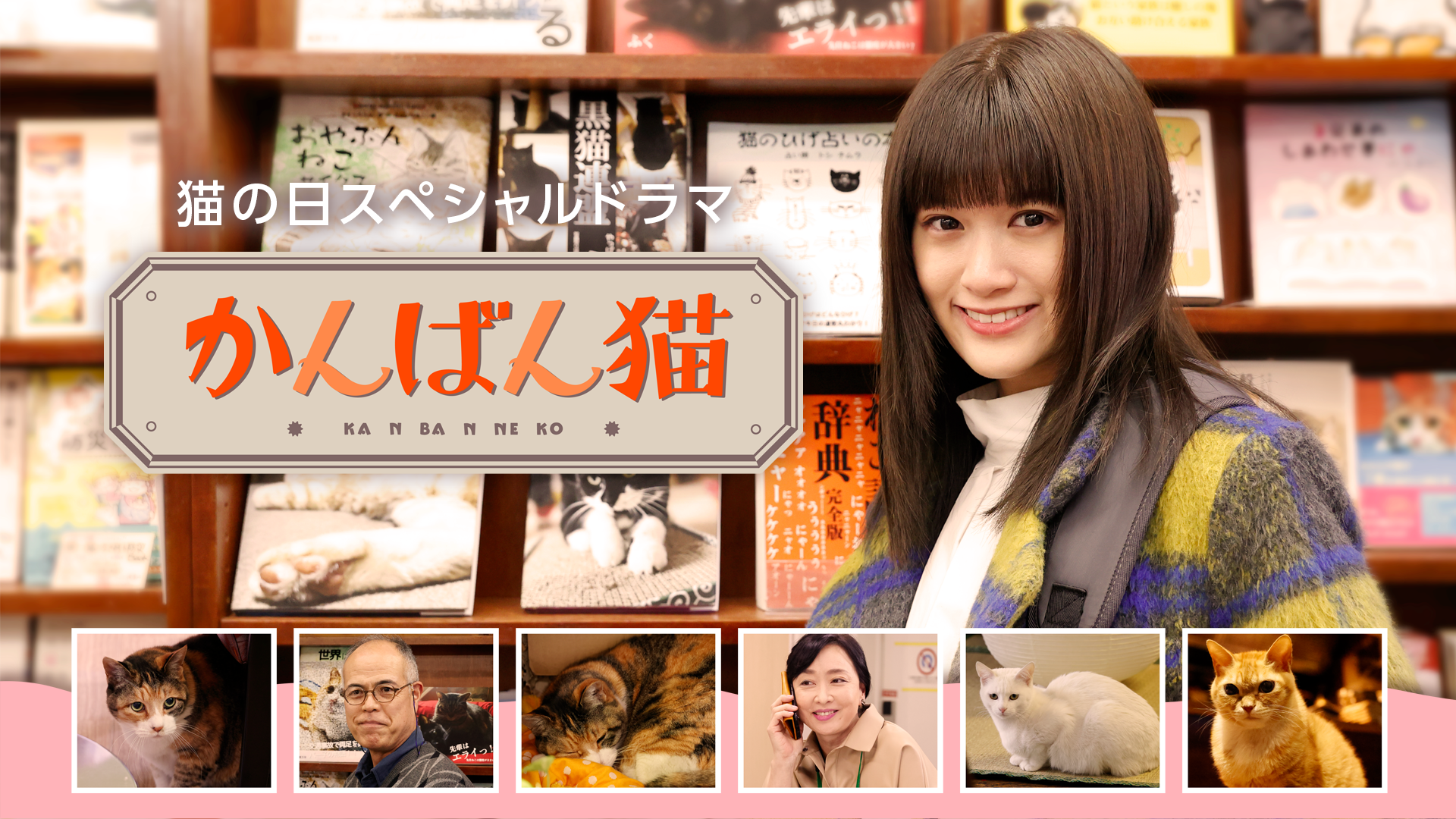 猫の日スペシャルドラマ「かんばん猫」 - サムネイル