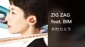 ZIG ZAG feat. BIM