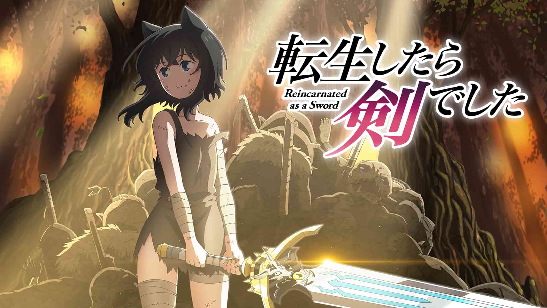 転生したら剣でした