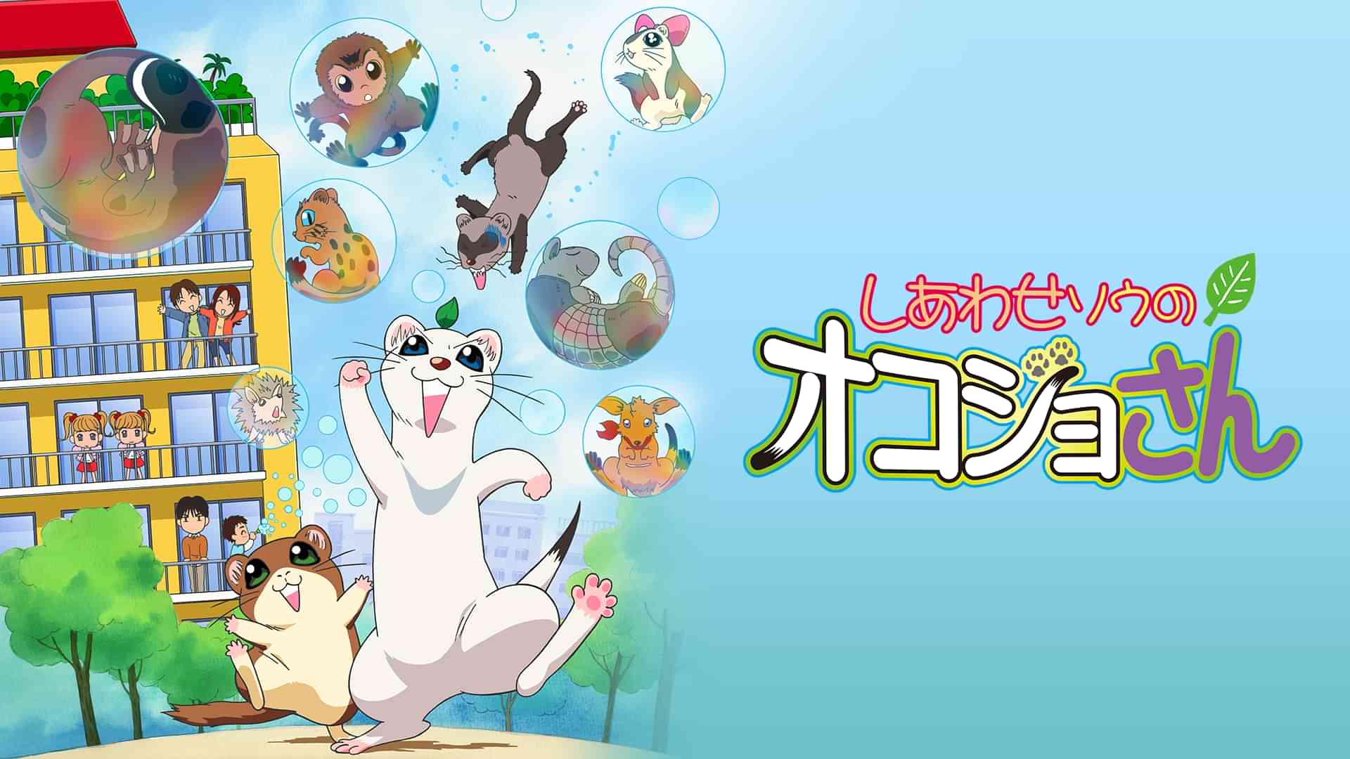 伊丸岡篤のプロフィール 画像 写真 Webザテレビジョン