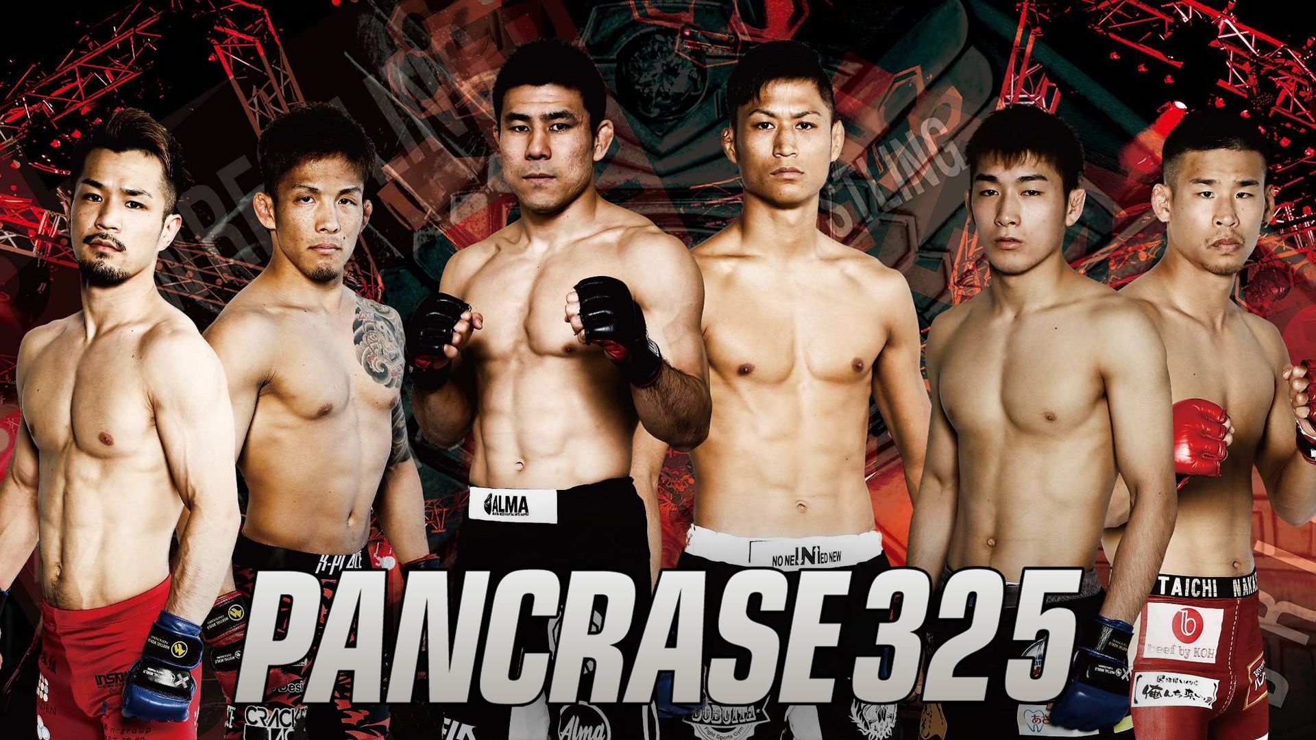 PANCRASE 325