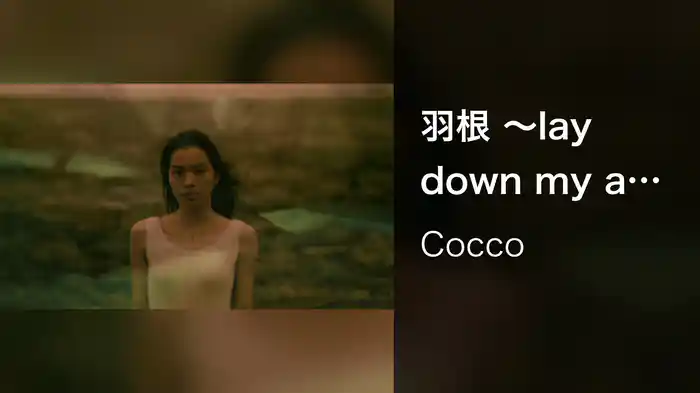 羽根 ～lay down my arms～