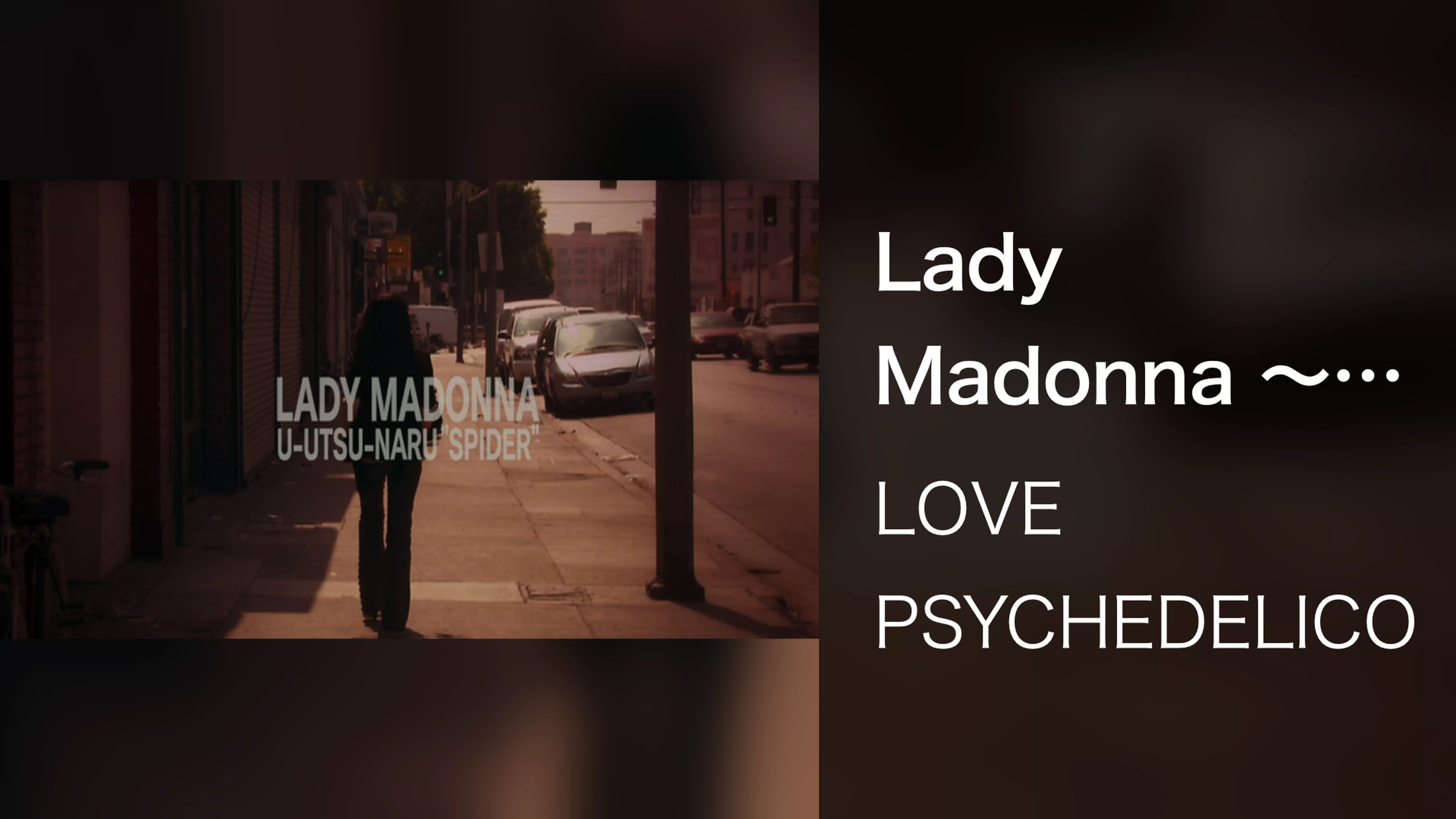 Lady Madonna ～憂鬱なるスパイダー～