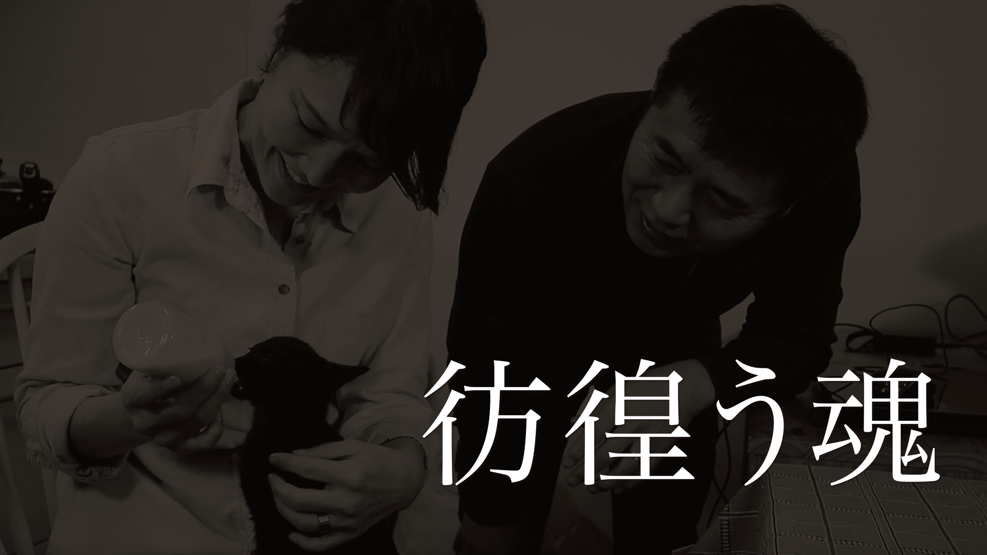 彷徨う魂 - サムネイル