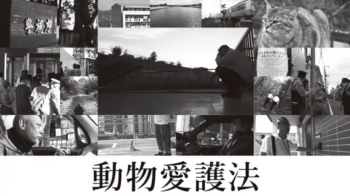 動物愛護法