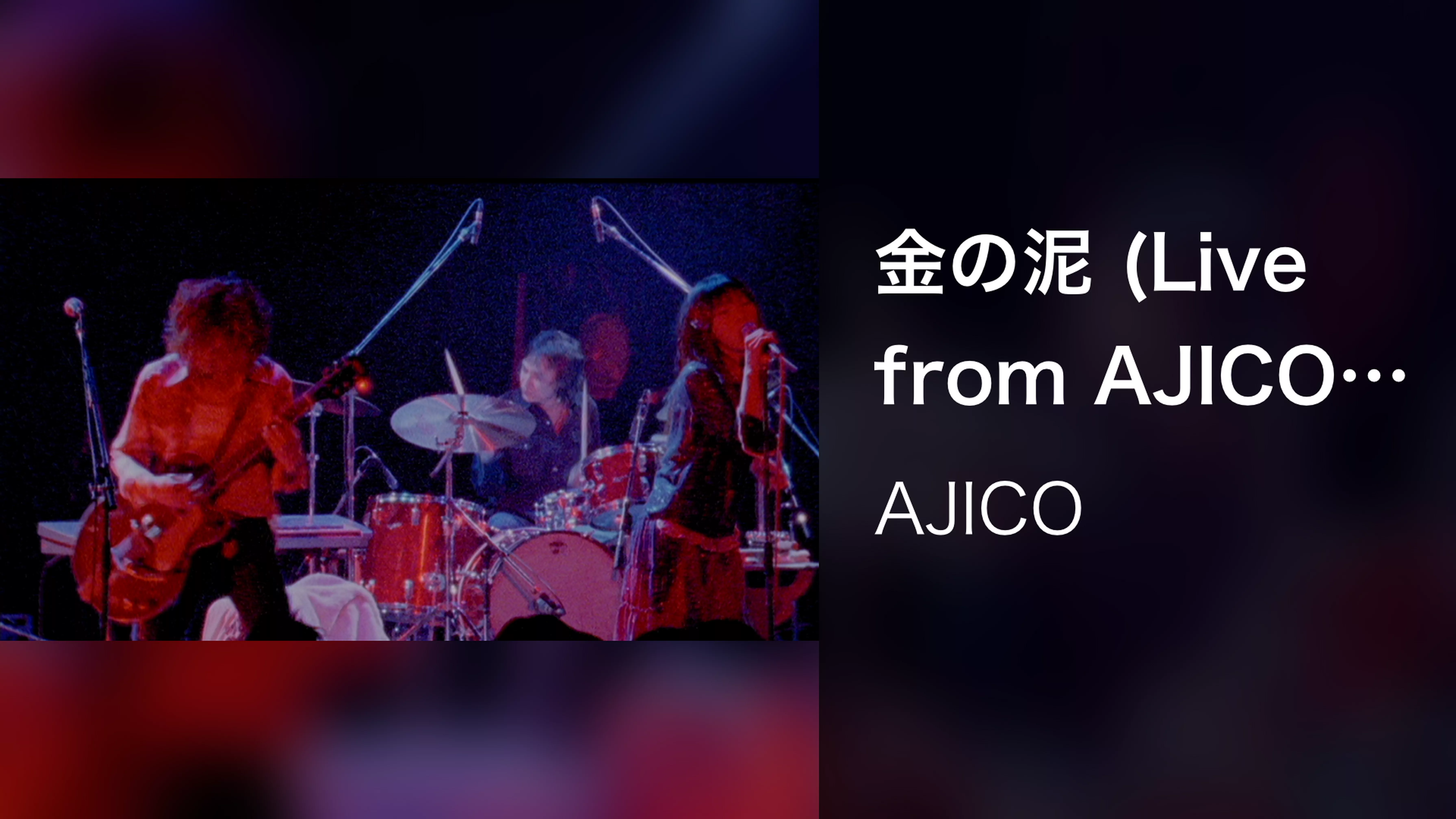 金の泥 (Live from AJICO SHOW)