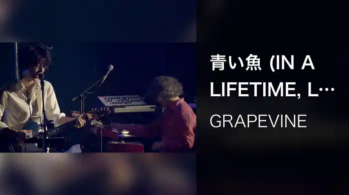 青い魚 (IN A LIFETIME, Live at SHIBUYA-AX, 2014.05.19)
