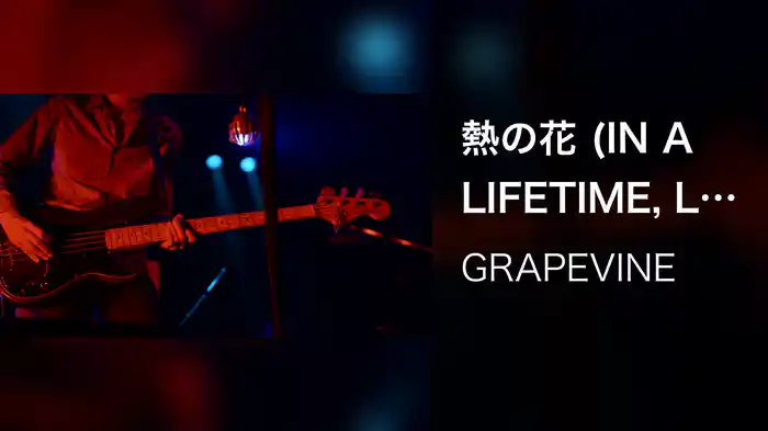 熱の花 (IN A LIFETIME, Live at SHIBUYA-AX, 2014.05.19)