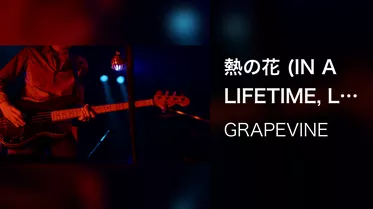 熱の花 (IN A LIFETIME, Live at SHIBUYA-AX, 2014.05.19)