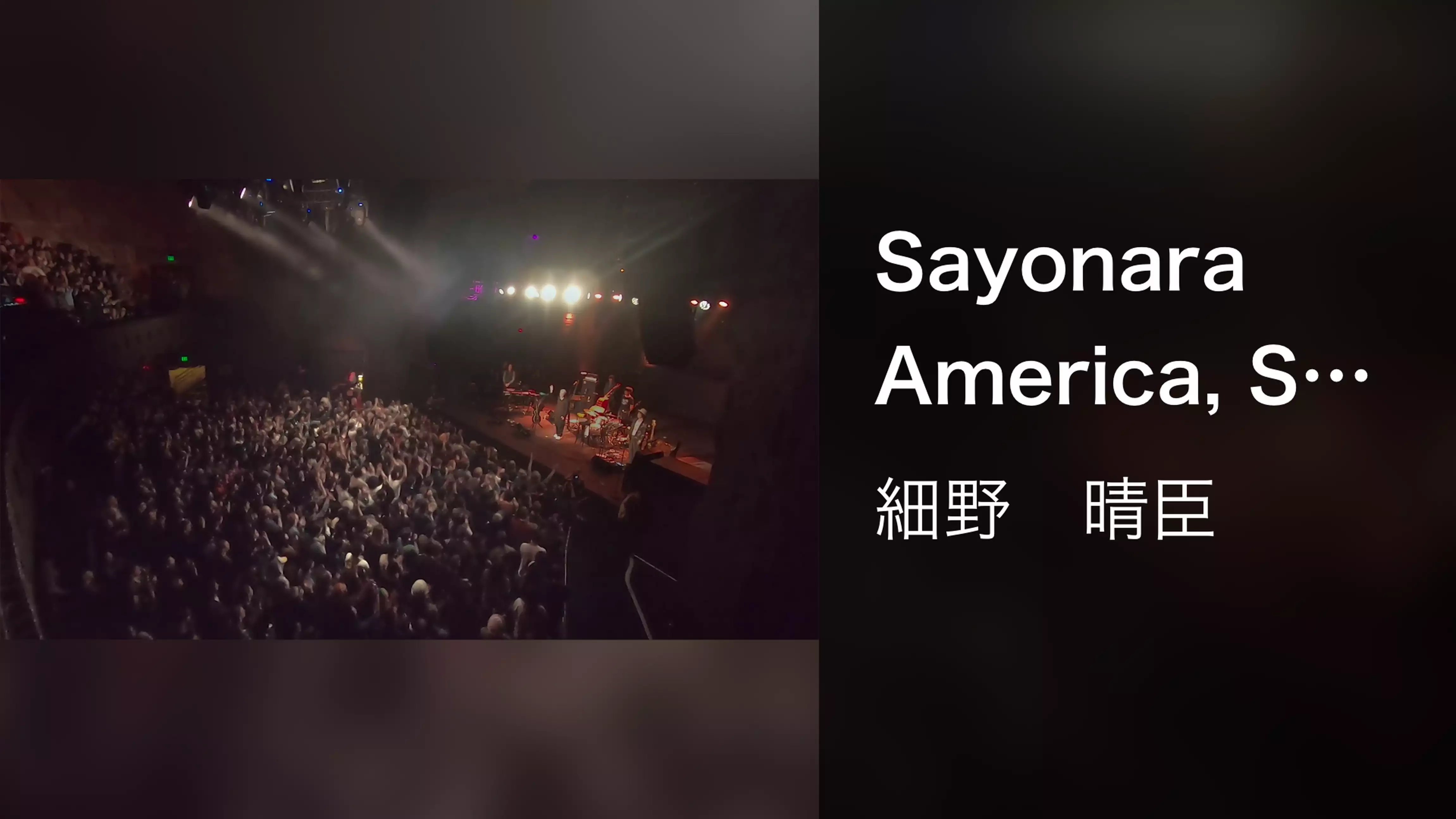 Sayonara America, Sayonara Nippon