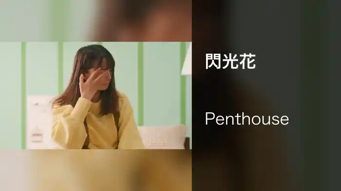 閃光花