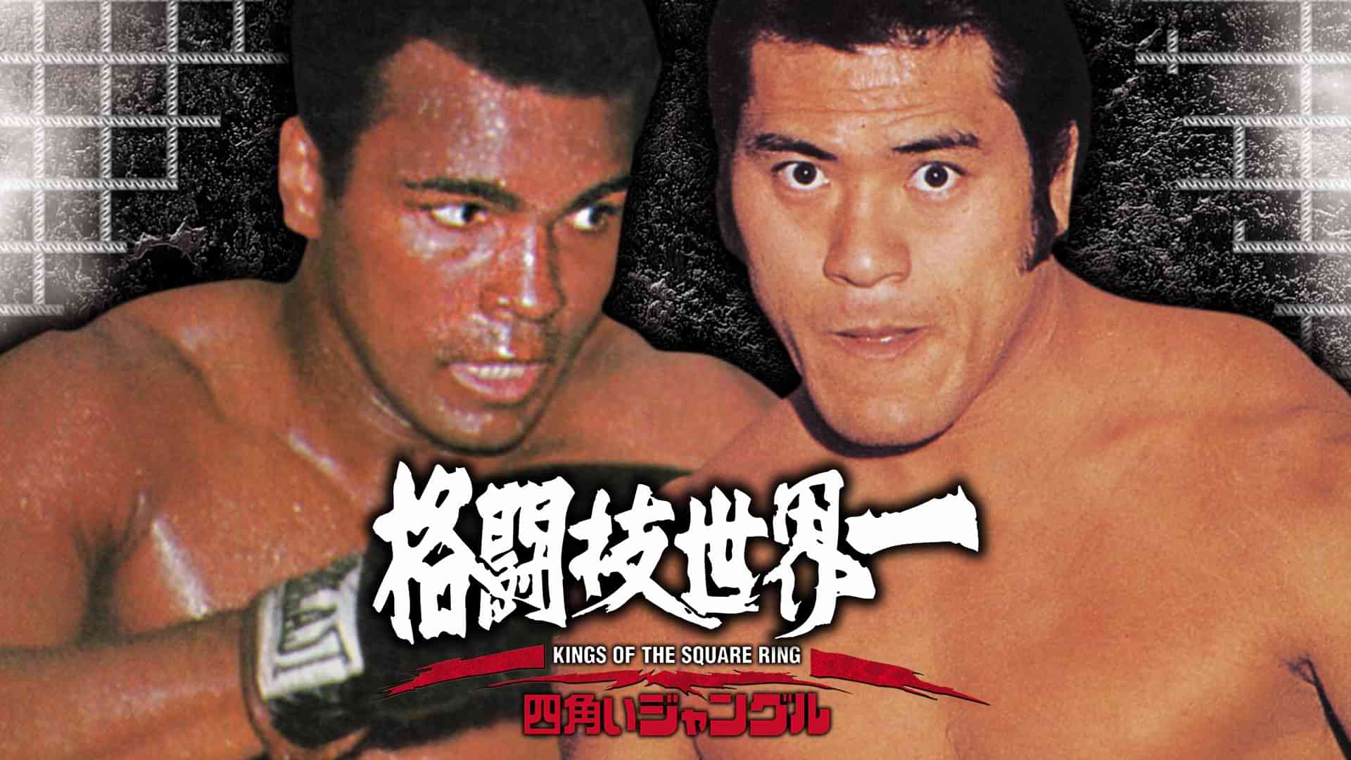 四角いジャングル 格闘技世界一