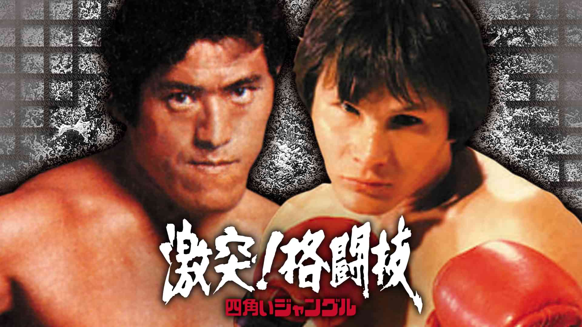 四角いジャングル 激突！格闘技