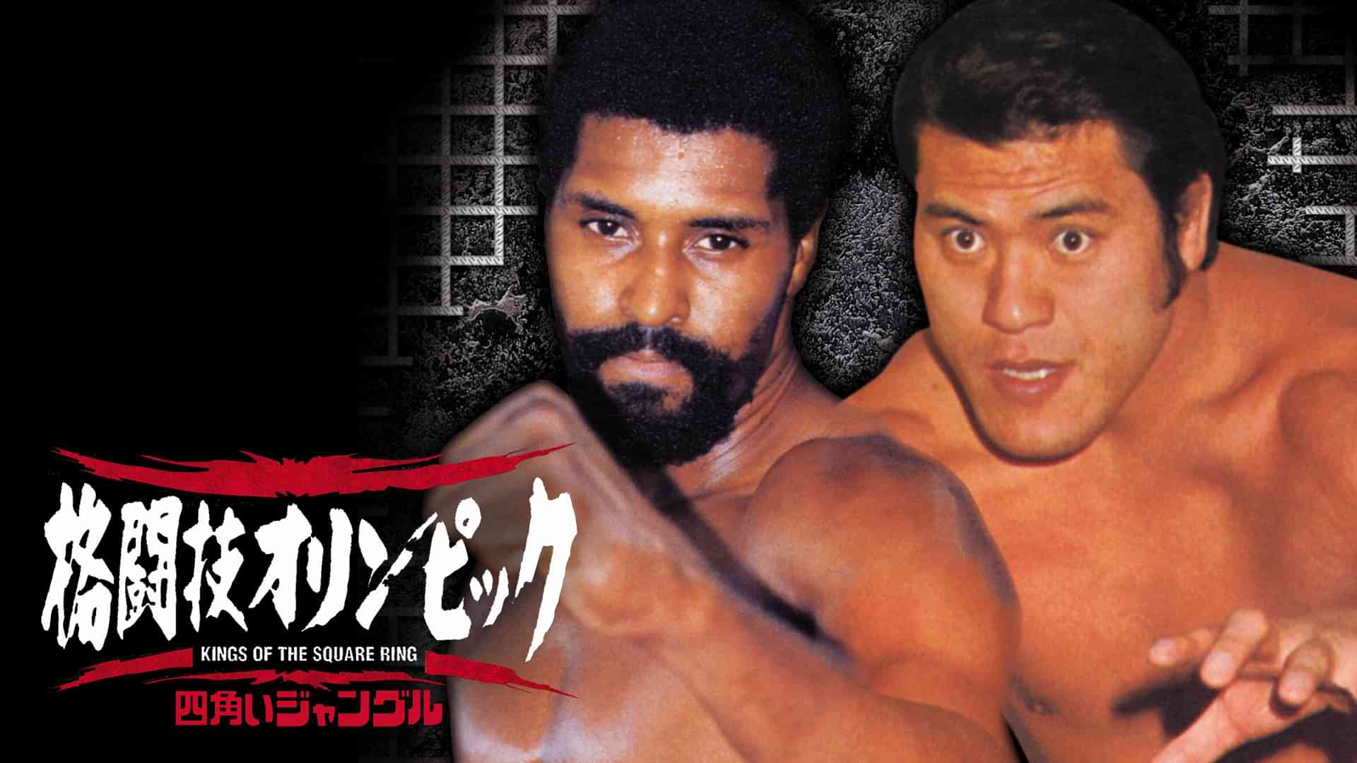 四角いジャングル 格闘技オリンピック