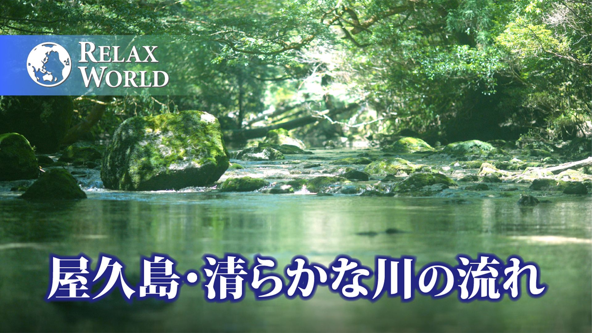 屋久島・清らかな川の流れ【RELAX WORLD】