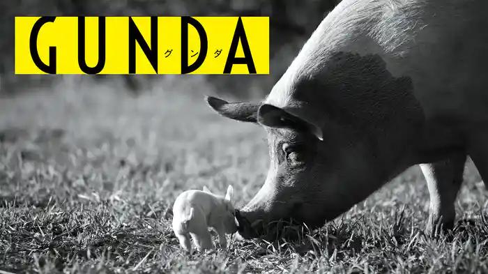 GUNDA/グンダ