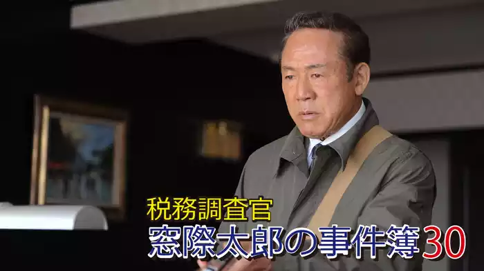 税務調査官　窓際太郎の事件簿30
