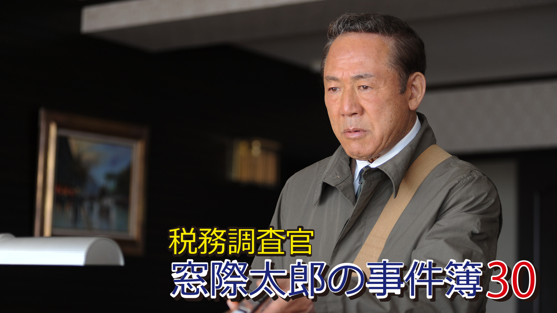 税務調査官　窓際太郎の事件簿30 - サムネイル