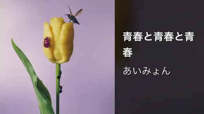 青春と青春と青春