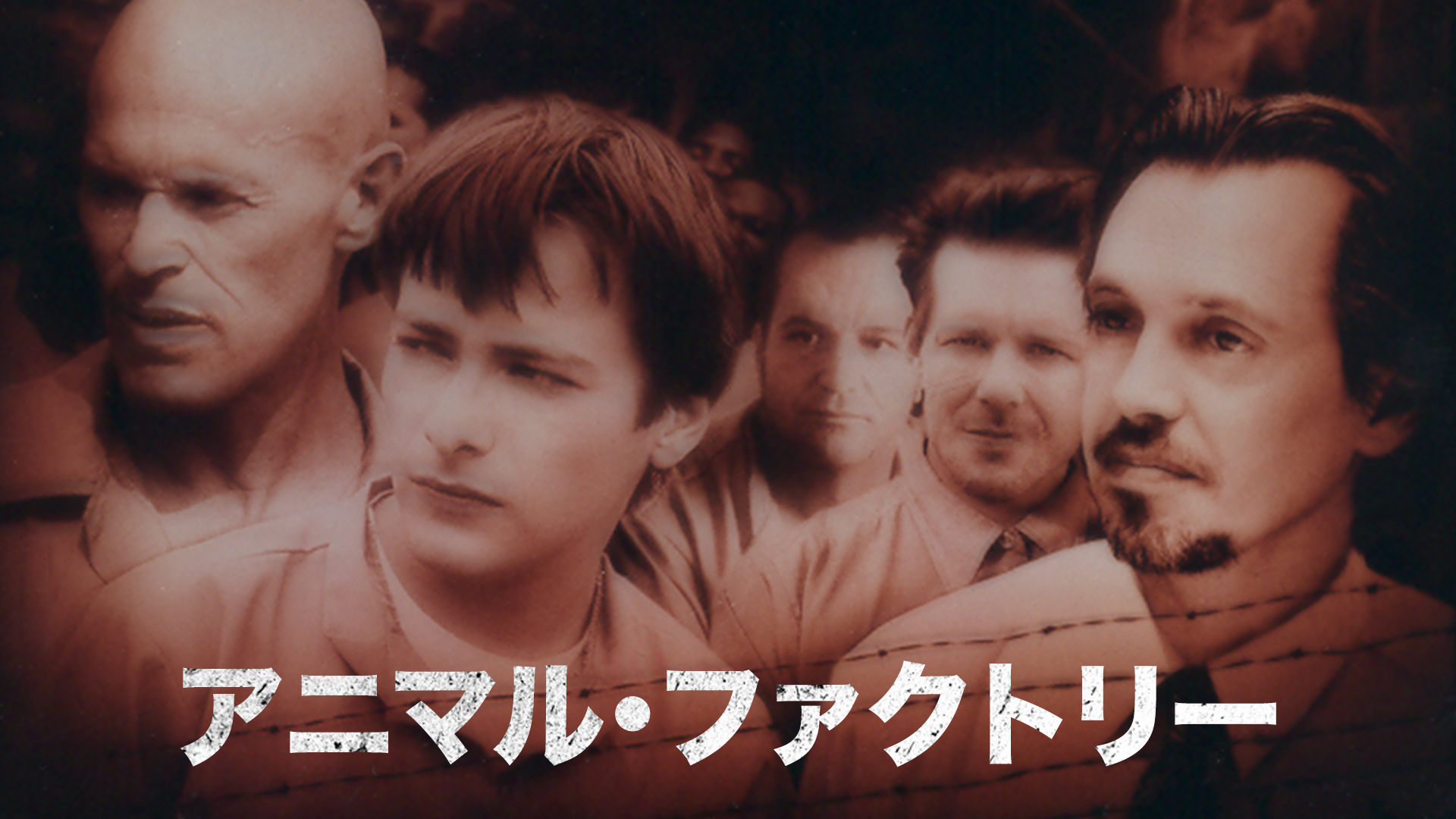 アニマル・ファクトリー - サムネイル
