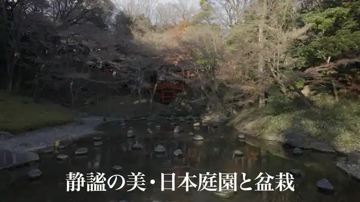 静謐の美・日本庭園と盆栽